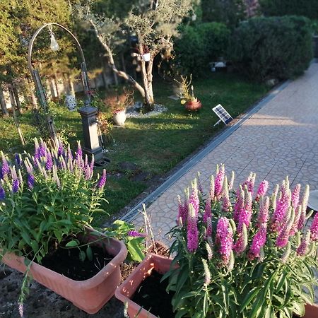 B&B Villa Milena Ariano Irpino Esterno foto