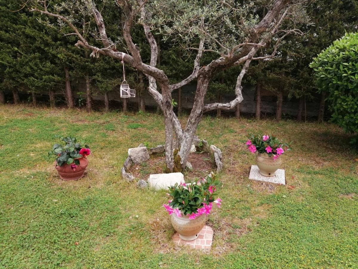 B&B Villa Milena Ariano Irpino Esterno foto