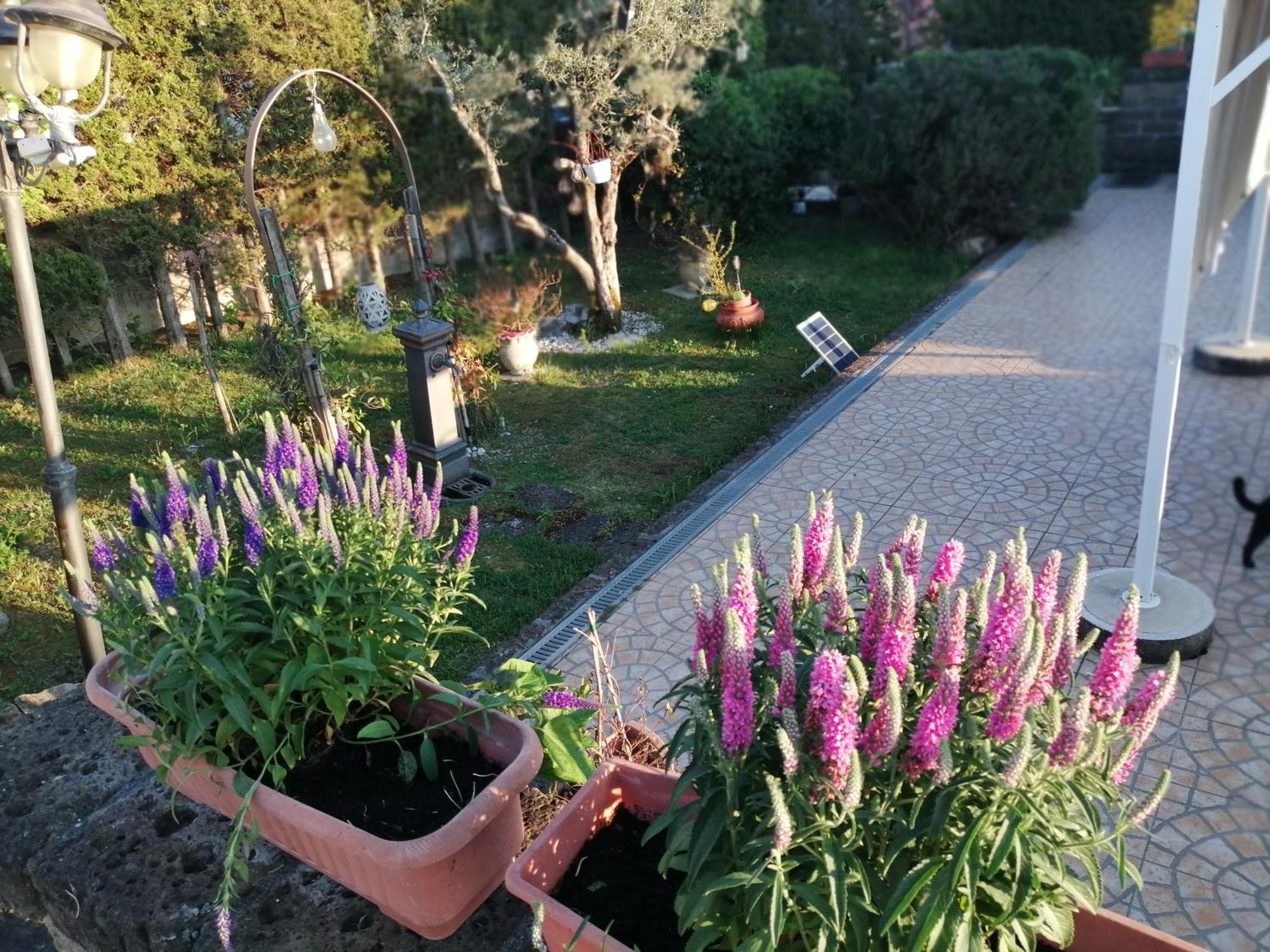 B&B Villa Milena Ariano Irpino Esterno foto