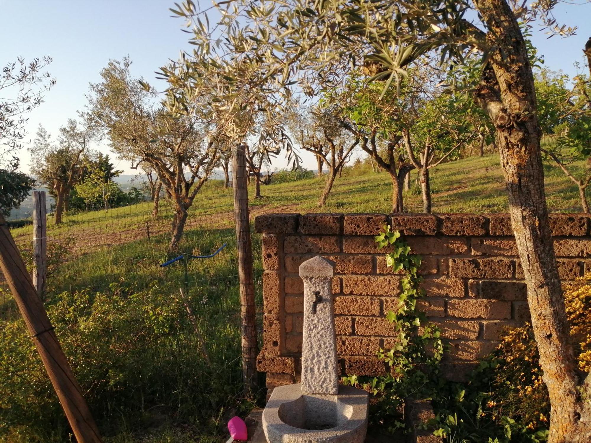 B&B Villa Milena Ariano Irpino Esterno foto