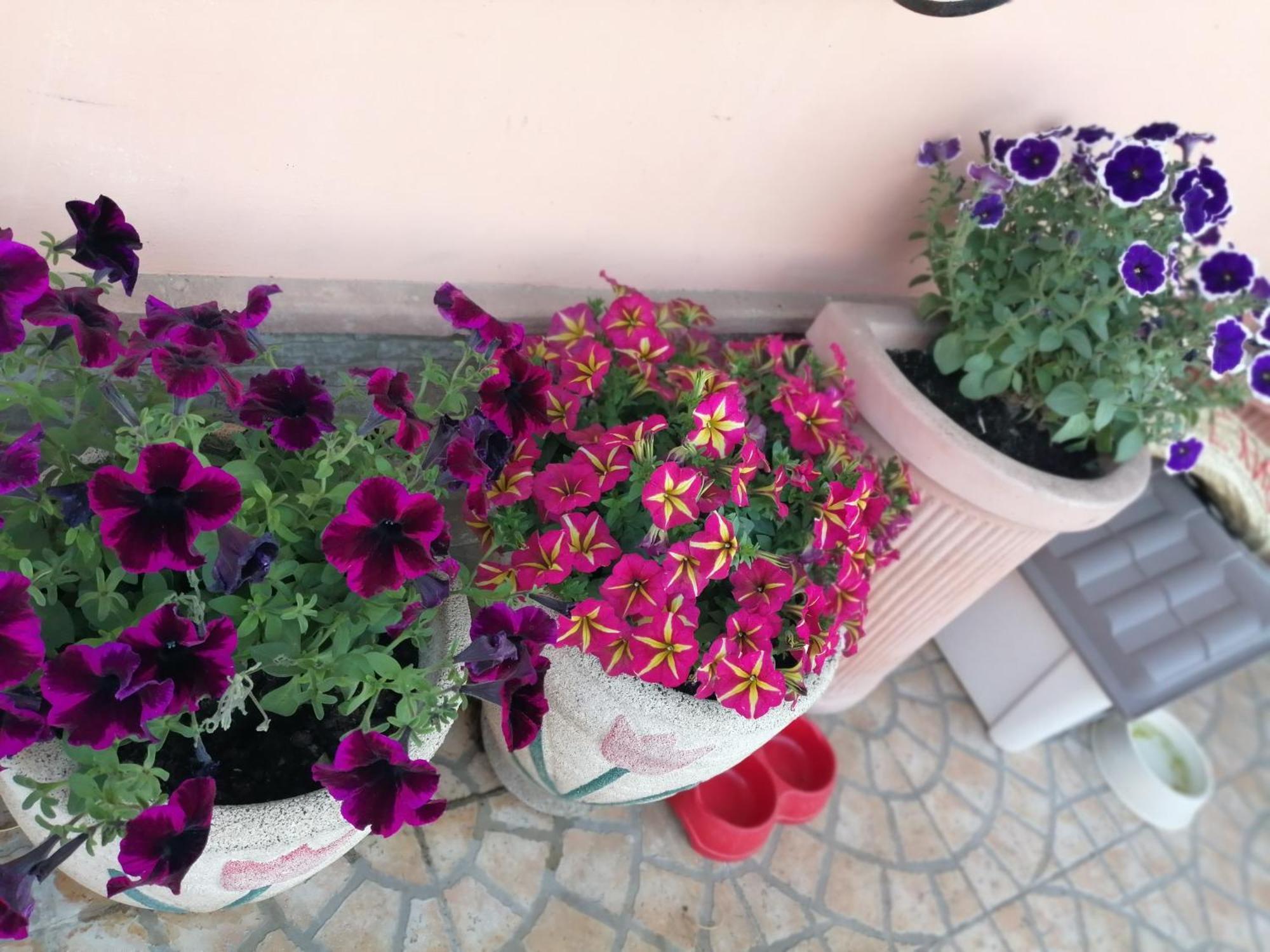 B&B Villa Milena Ariano Irpino Esterno foto